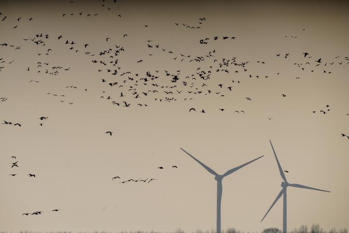 打造分散式风电“乡村样本”