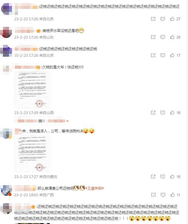 从冬奥荣光到商业纠纷：网友一句话点出王濛纠